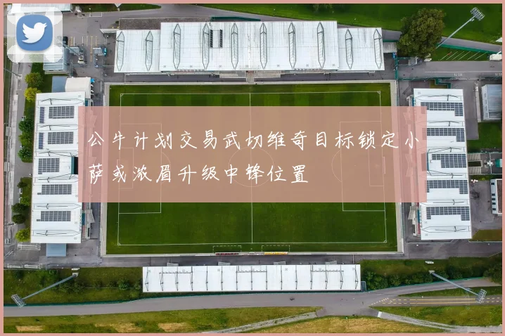 公牛计划交易武切维奇目标锁定小萨或浓眉升级中锋位置